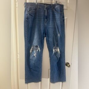 Torrid Classic Blue Denim Jeans